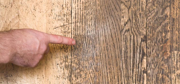 Wood Door Scratch Repair in Cutler